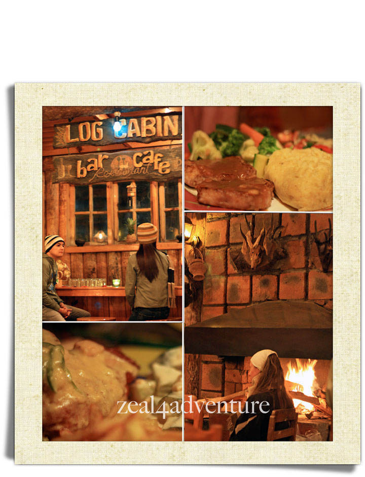 logcabin1