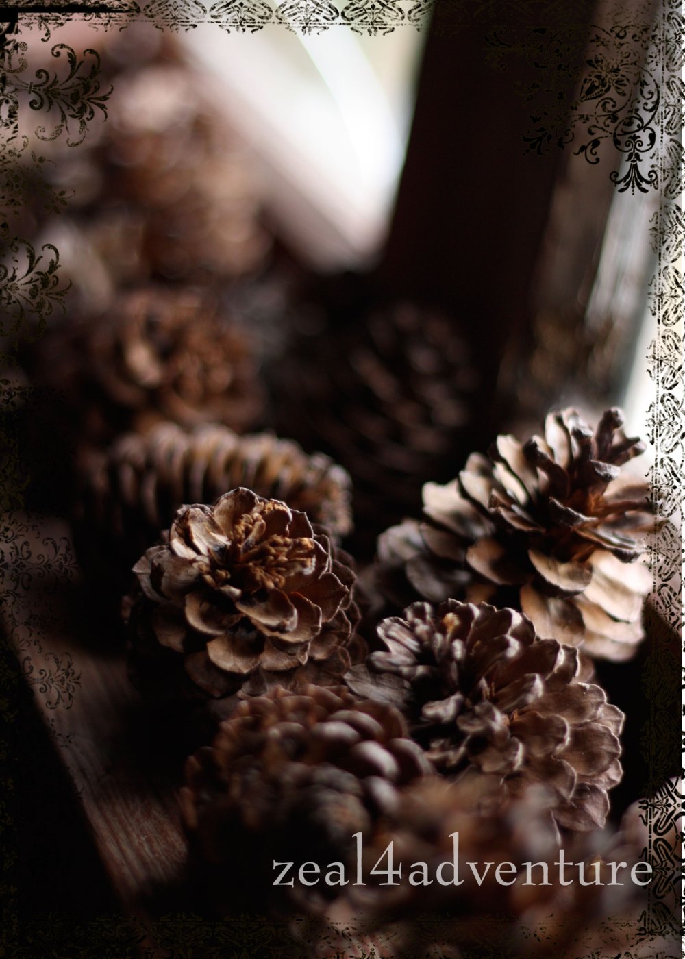 ws-2-pine-cones