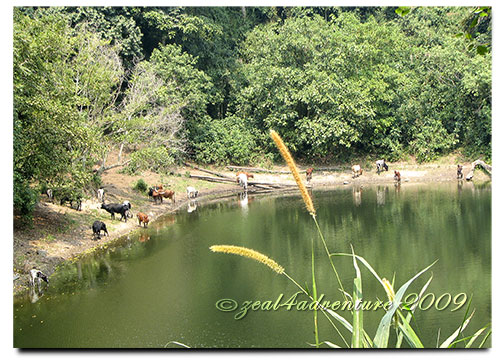 lake-nkuruba lake-nkuruba