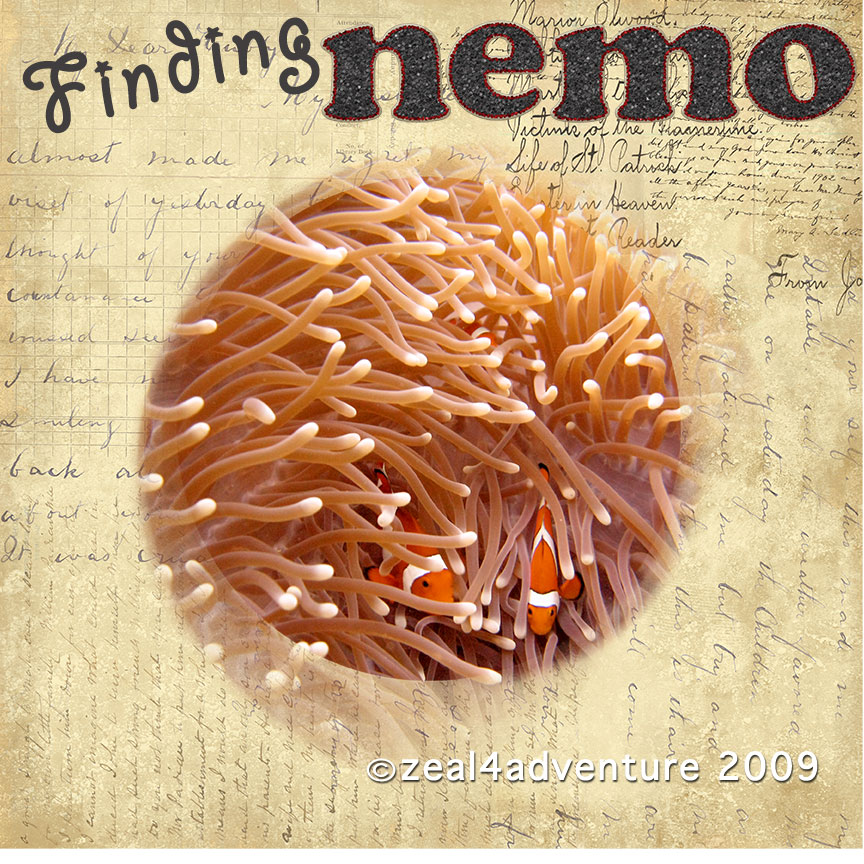 ws10-finding-nemo