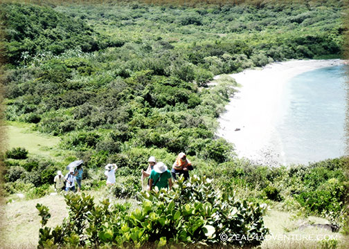 trekking-to-lighthouse