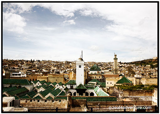 rooftop-view-of-Karaouine