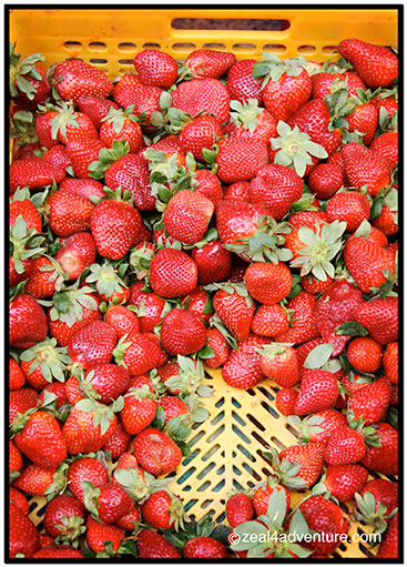 strawberries