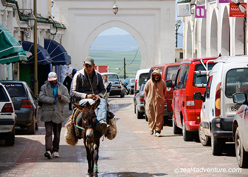 donkeys-and-cars