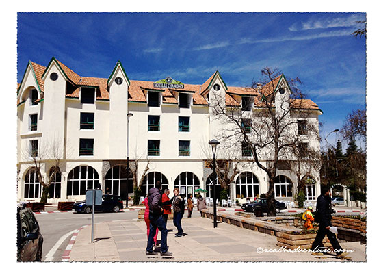 hotel-swiss-chalet-style