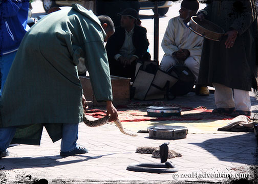 snake-charmers