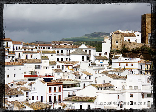 Senetil-white-houses