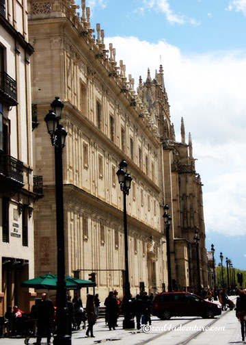 The-Cathedral-along-Avenida