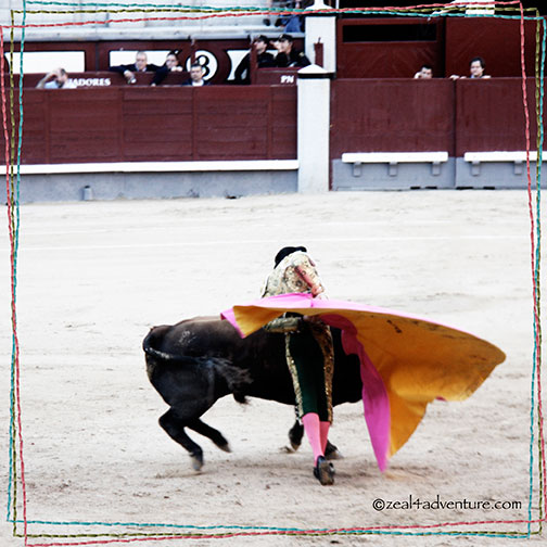 bullfighting