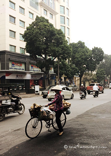 tree-lined-boulevard