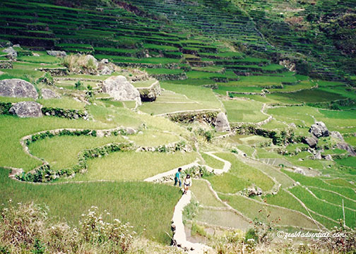 narrow-path-to-the-falls