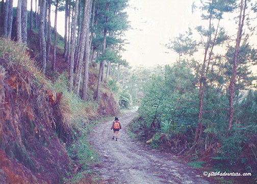 Walking-to-Lake-Danum