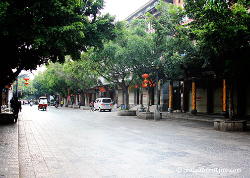 tree-lined-street