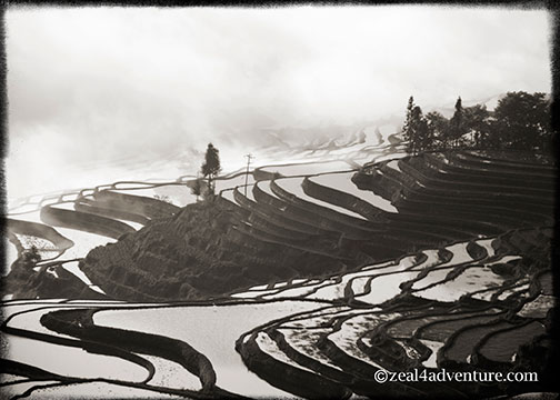 duoyishu-terraces-upclose