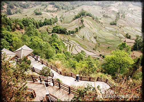 laohuzui-different-view-deck