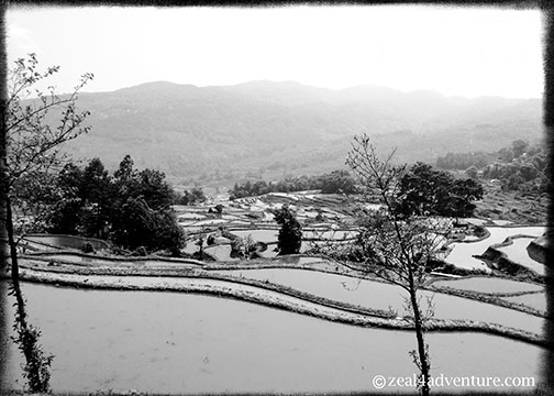 terraces-by-the-road-2