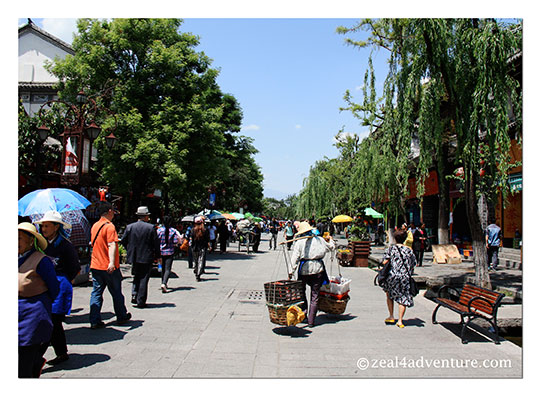 tree-lined-fuxing-lu