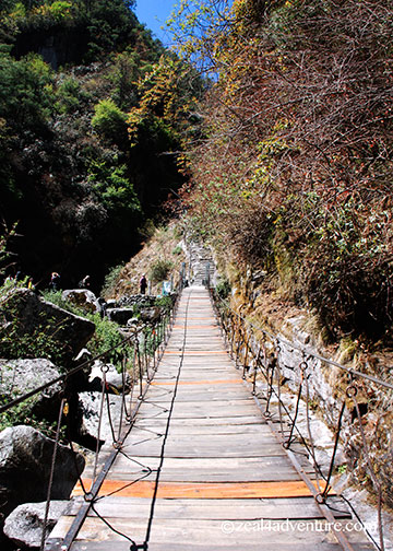 bridge-to-qingbi-stream