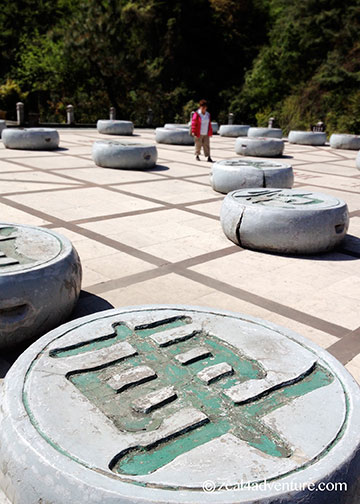 giant-zhenlong-board