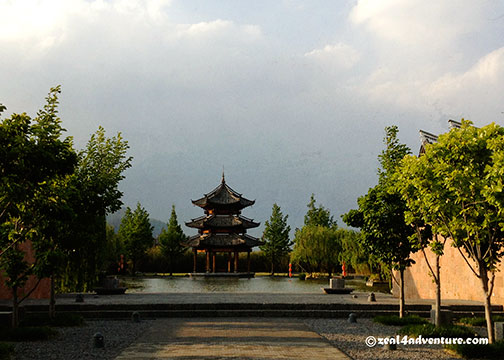 banyan-tree-entrance