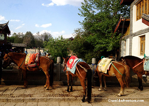 horses-on-qinglong
