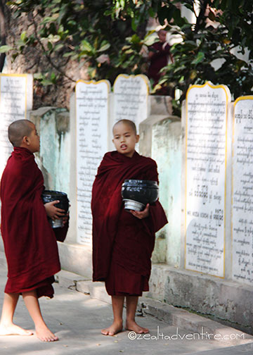 novice-monks