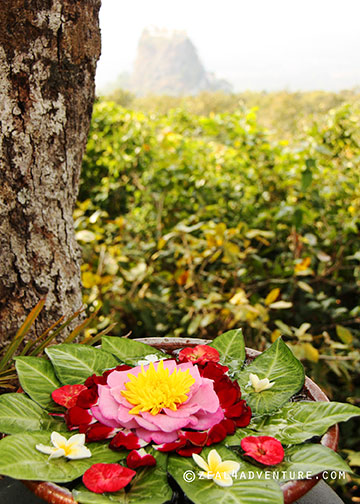 Mt-Popa-backdrop