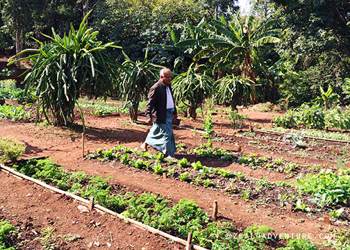 Organic-garden-and-Ko-Htwe
